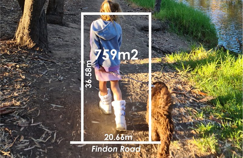 388-findon-road-kidman-park-meier-paul-800×520